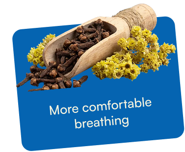 Improves respiratory circulation